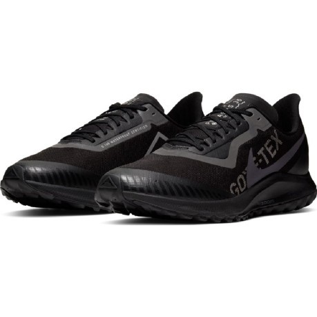 Chaussures de Running Homme Pegasus 36 Trail GTX noir