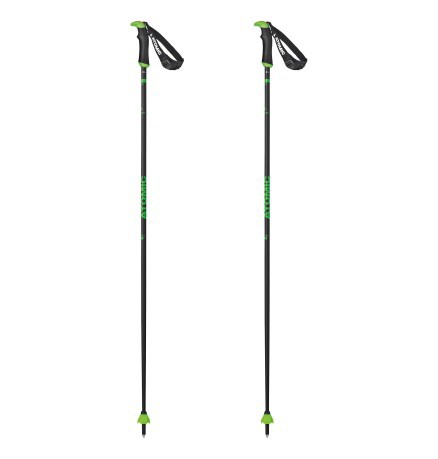 Stöcke Ski Redster X Carbon SQS-grau-grün