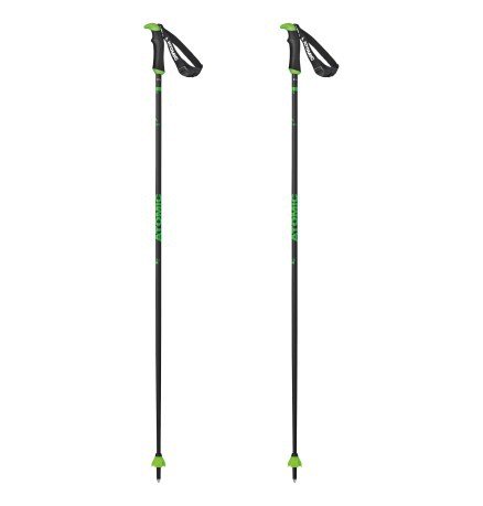 Bâtons de Ski Redster X-Carbone SQS-vert-gris