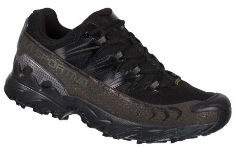 Hiking shoe Men's Ultra Raptor GTX black