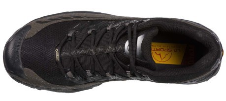 Hiking shoe Men's Ultra Raptor GTX black