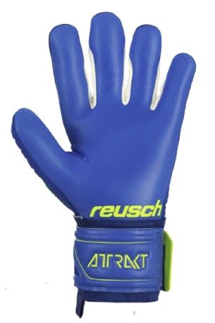 Goalkeeper Gloves Reusch Attrakt Freegel G3