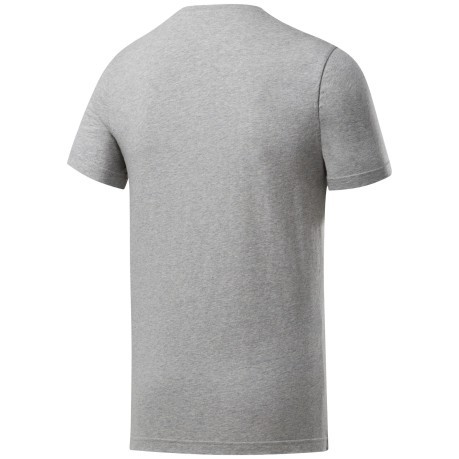 T-shirt Graphic series Linear Logo Grigio Frontale
