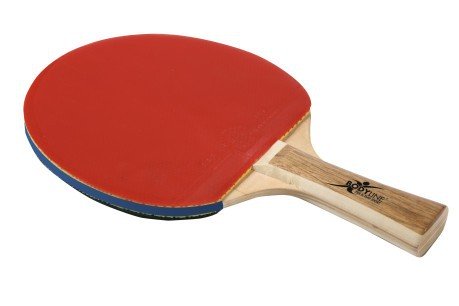 Raquette de ping-pong Compétence 3 Étoiles