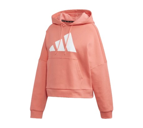 Felpa Donna Graphic Hoodie Back Zip rosso