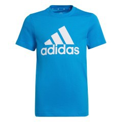 T-Shirt Junior Essentials Big Logo verde-blu fronte