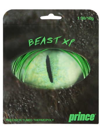 String Beast XP Prince