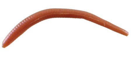 Berkley Gulp! Alive Angle worm Brown