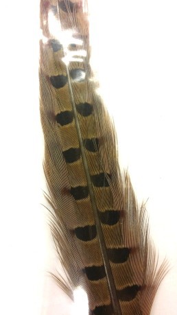Soldarini Phesant Feather Orange Rusty