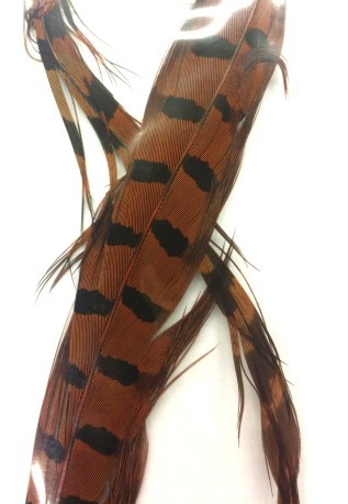 Soldarini Phesant Feather Orange Rusty