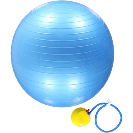 Balle d'exercice (65 cm) Obtenir l'Ajustement