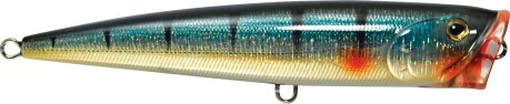 Artificial Corsair Blue Sardine
