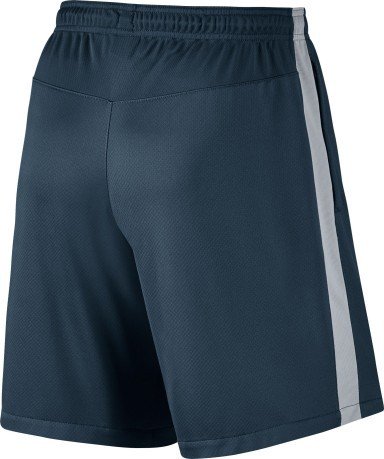 Pantalones cortos de entrenamiento de la Inter-azul
