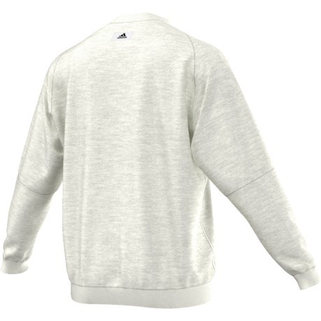 Men's sweatshirt Terry Crew gray patterned