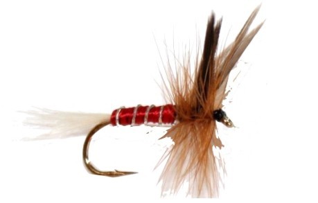 Mosca Red Spinner rosso