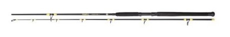 Fishing rod Passion Pro DX Vertical