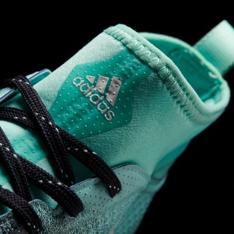 Chaussures de Football Adidas Ace 17.3 FG bleu