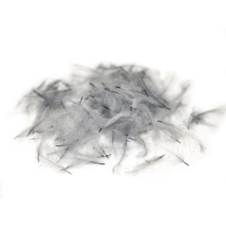 Feathers Wild CDC grey