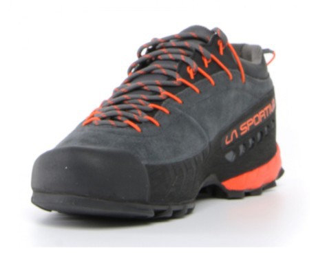 Hiking shoes Man TX 4 GTX